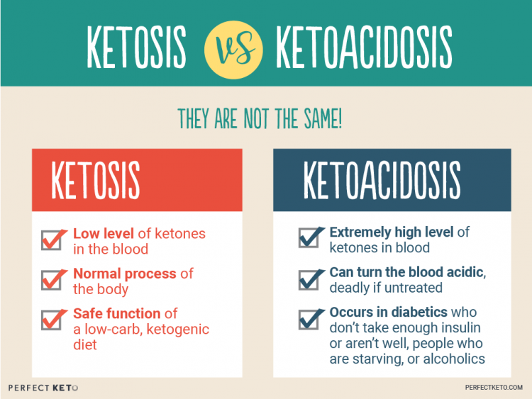 What Is Ketosis Diet Fast Way To Reduce Weight Tips Symptoms what-is-ketosis-diet-fast-way-to-reduce-weight-tips-symptoms