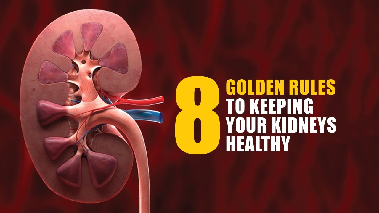 8 Golden Rules for Healthy Kidneys