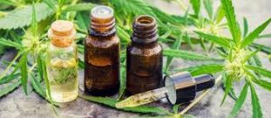 Assist that you require CBD in Australia