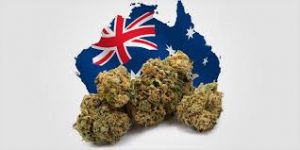 How to Obtain CBD & Medical Marijuana in Australia