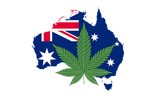 How to Obtain CBD in Australia