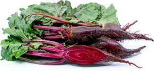  Cylindra Beets