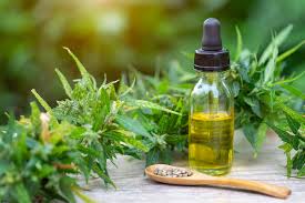 CBD oil