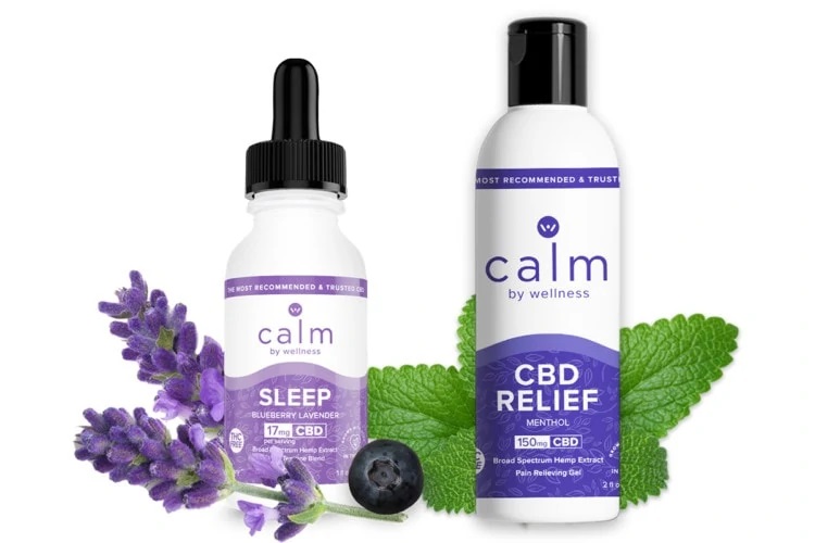 Calm by Wellness Hemp CBD Sleep Oil Tincture