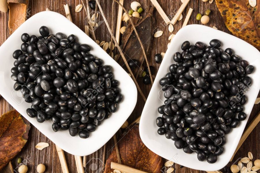 Black Soybeans