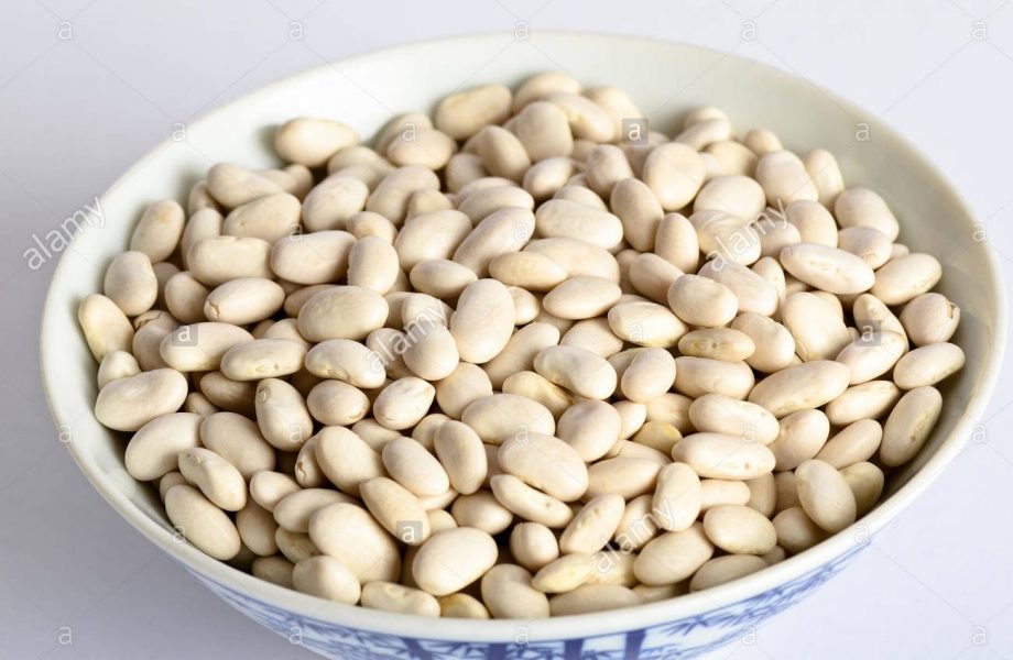 Great Northern Beans