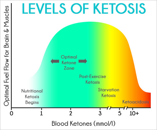 Ketosis in snake diet