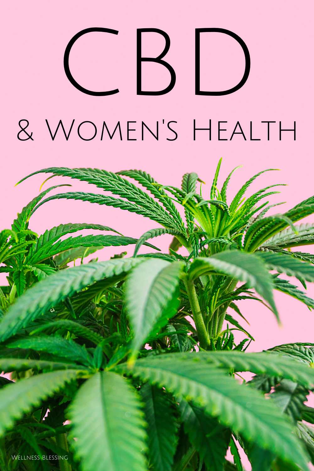 CBD Oil for Women