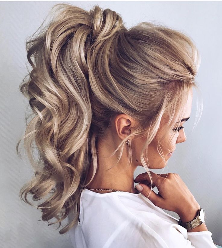 Ponytail Updo