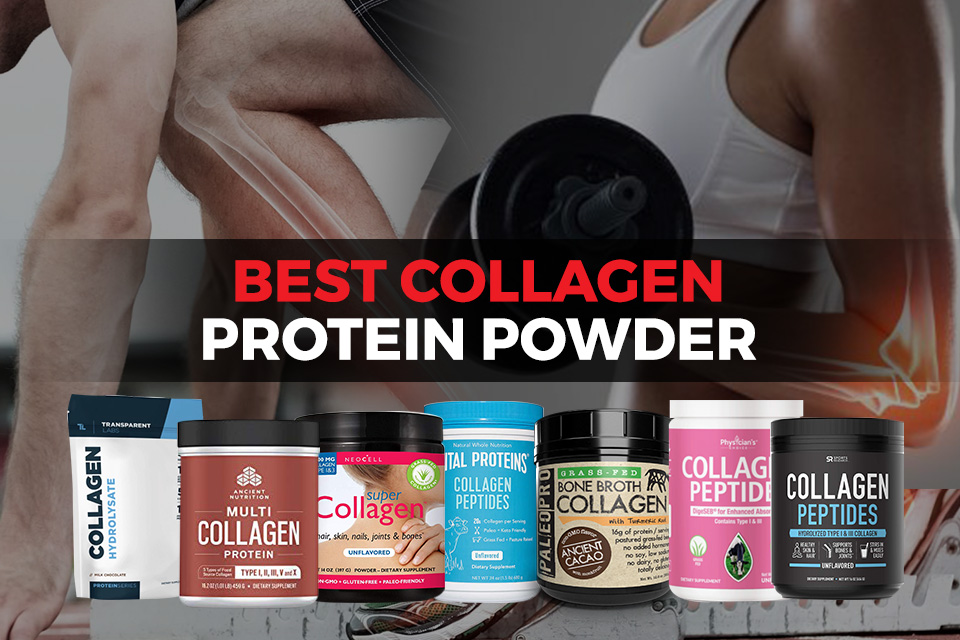 best collagen powder