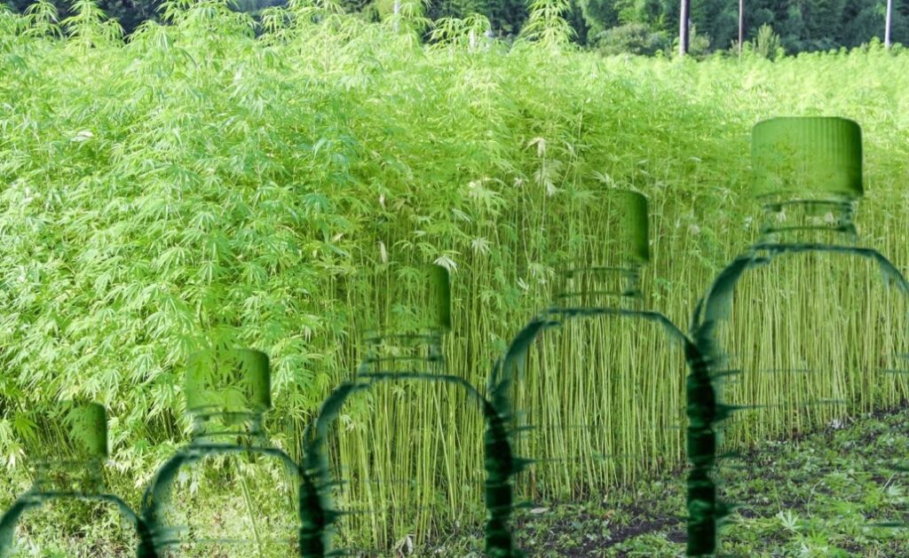 Hemp-based plastics 