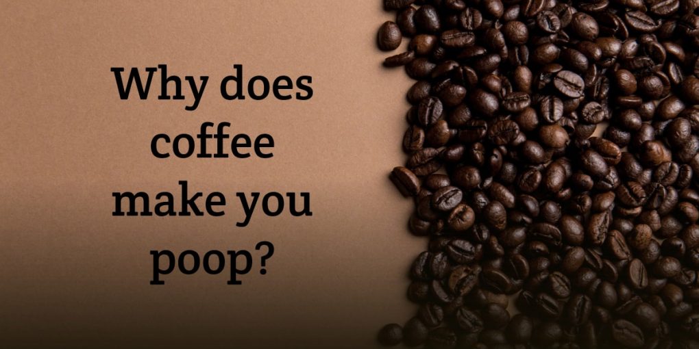  why does coffee make you poop