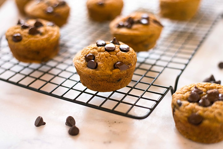 pumpkin-chocolate-chip-muffins-4