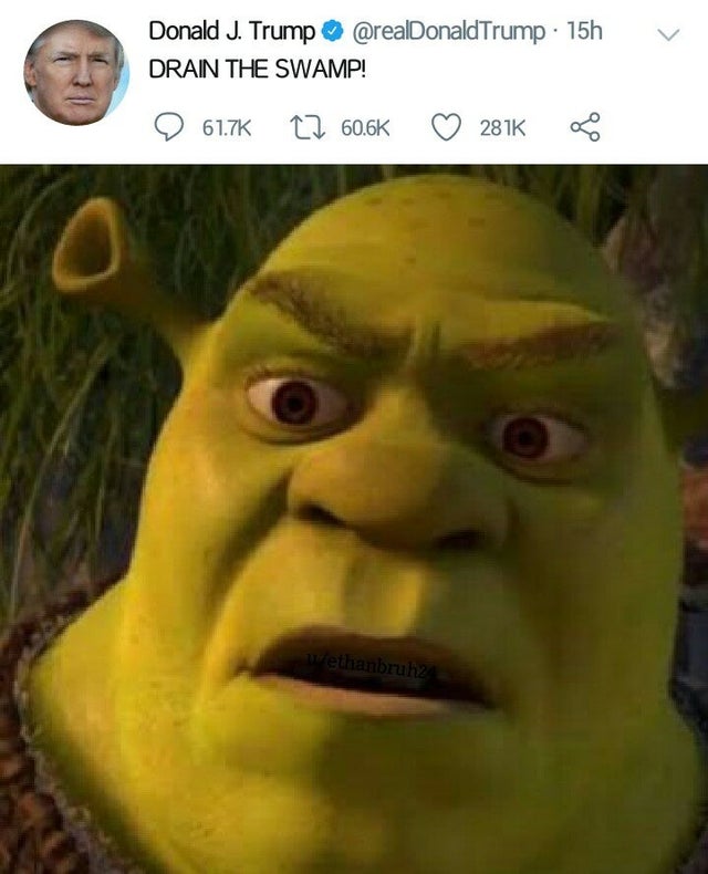 50 Best Shrek Memes Funny, Memes de Shrek Bee Healthy