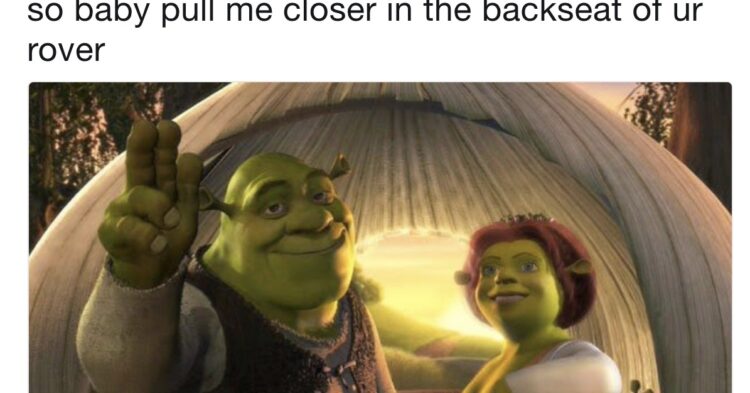 50 Best Shrek Memes Funny, Memes de Shrek - Bee Healthy