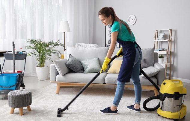 Home Cleaner Option for Carpets