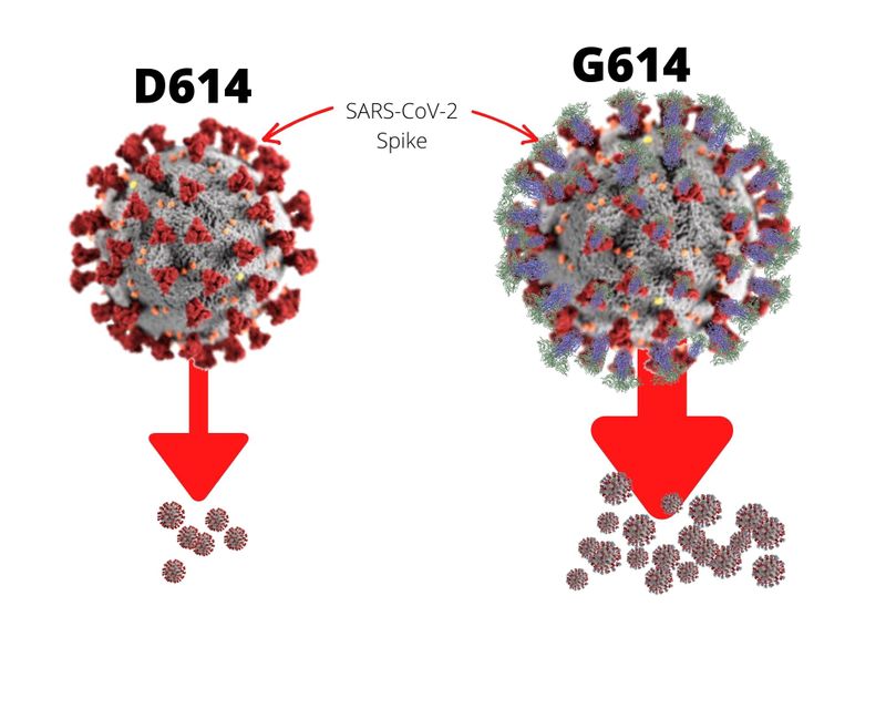 Coronavirus Latest News