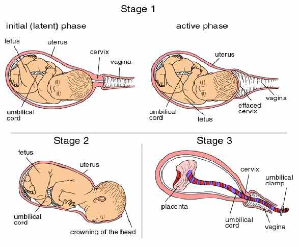 Latent Labor