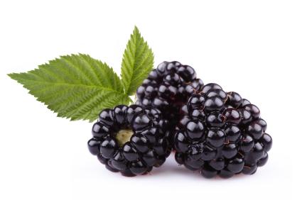 Blackberries keto