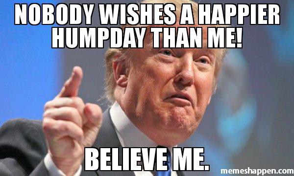 hump day memes