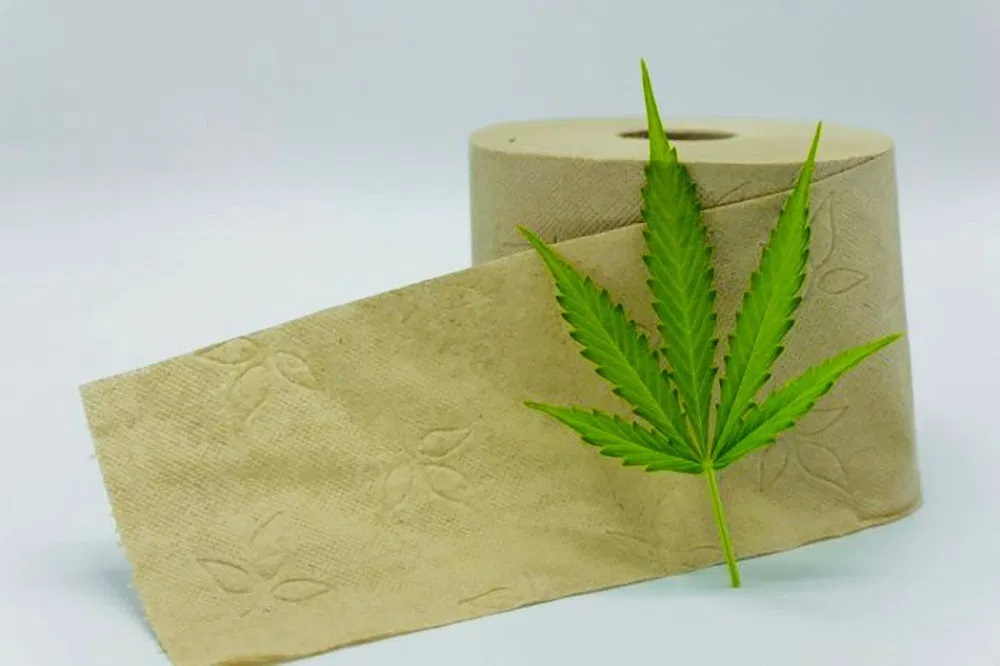 Paper Production by Hemp Fiber