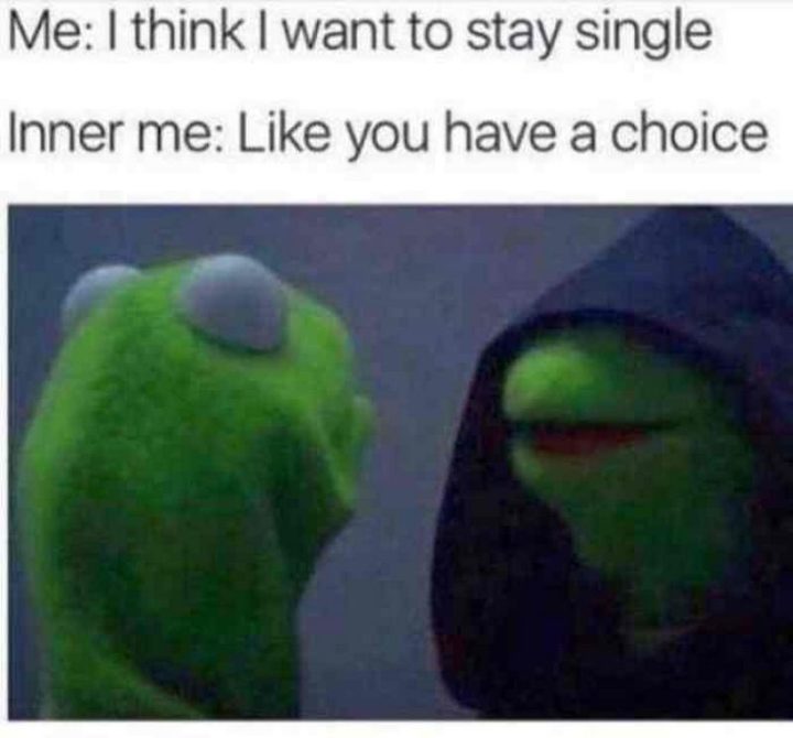 meme about being single