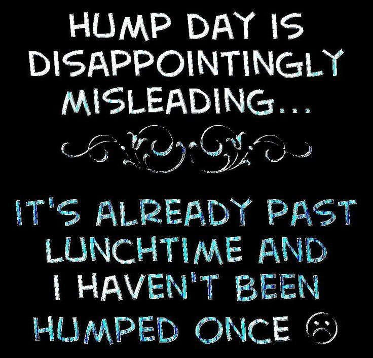 hump day memes