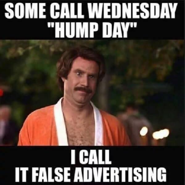 hump day memes