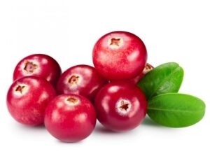Cranberry Benefits for Mind and Body