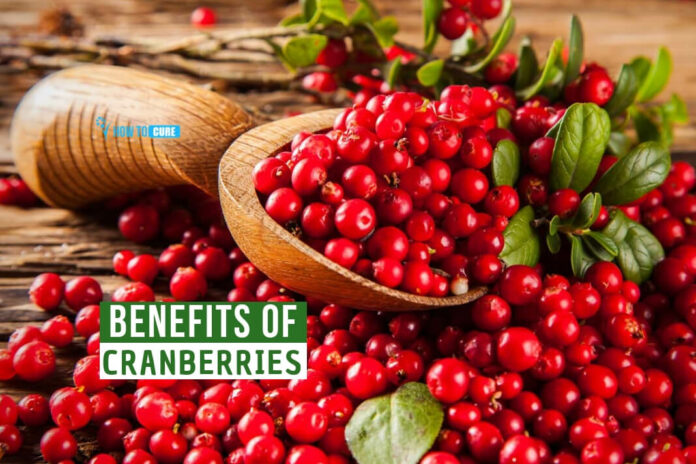 Cranberry Benefits for Mind and Body