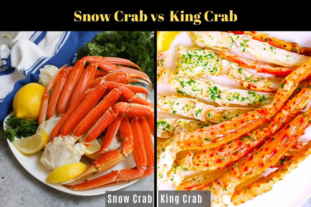 What’s the Difference Between Snow Crab and King Crab? Bee Healthy