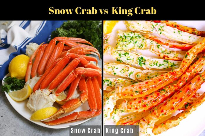 Difference Between Snow Crab and King Crab?