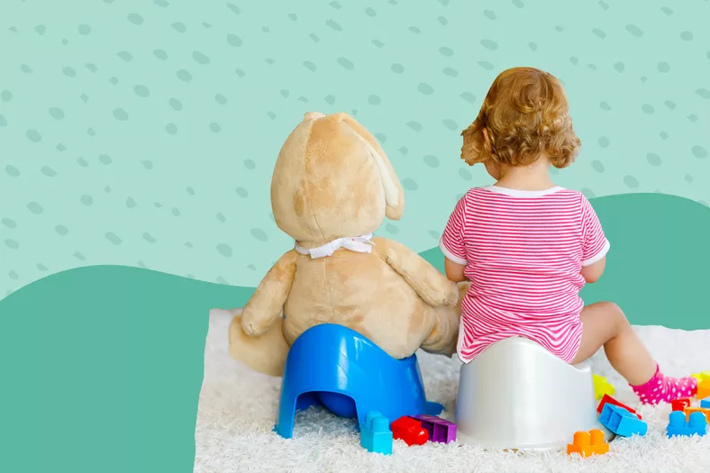 The Best Potty Training Chairs and Seats for Toddlers Bee Healthy