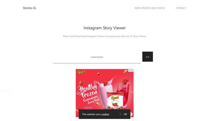 instagram story viewer